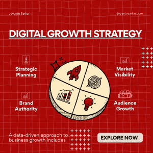 Strategic Growth Blueprint for LinkedIn